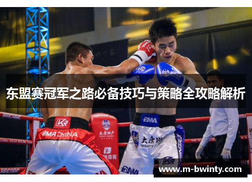 东盟赛冠军之路必备技巧与策略全攻略解析