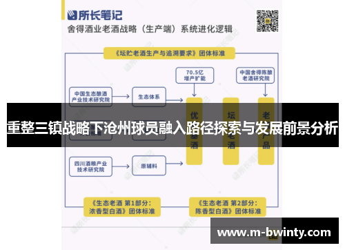 重整三镇战略下沧州球员融入路径探索与发展前景分析