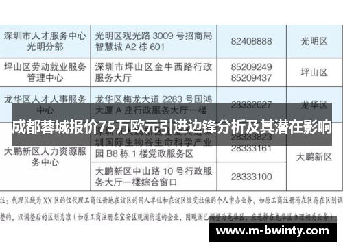成都蓉城报价75万欧元引进边锋分析及其潜在影响
