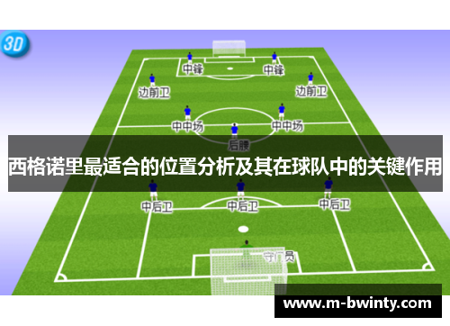 西格诺里最适合的位置分析及其在球队中的关键作用