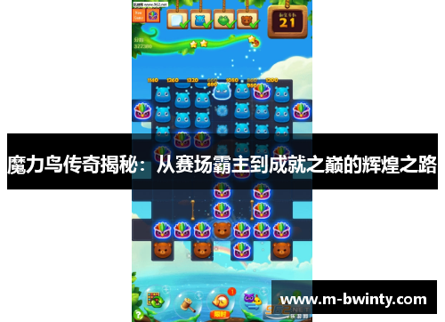 魔力鸟传奇揭秘：从赛场霸主到成就之巅的辉煌之路